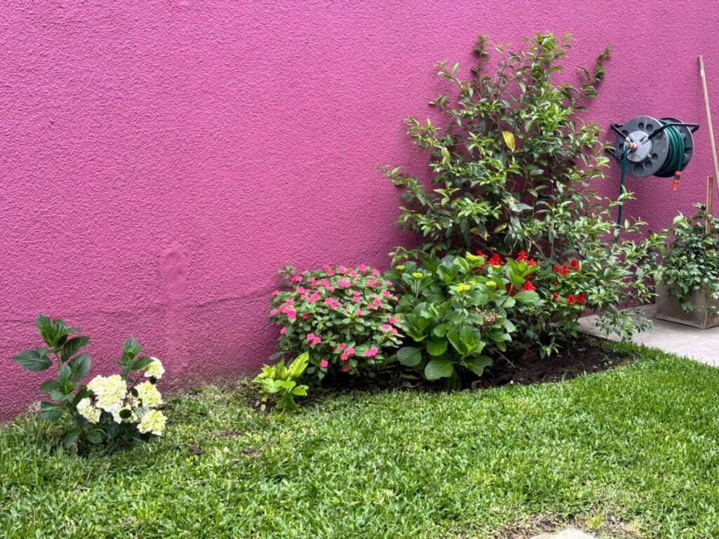 Cantero con flores en el jardín de la residencia
