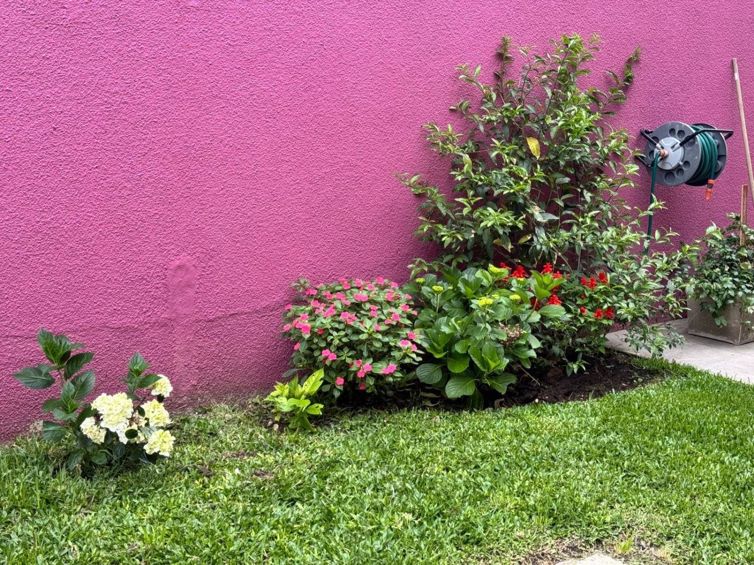 Cantero con flores en el jardín de la residencia